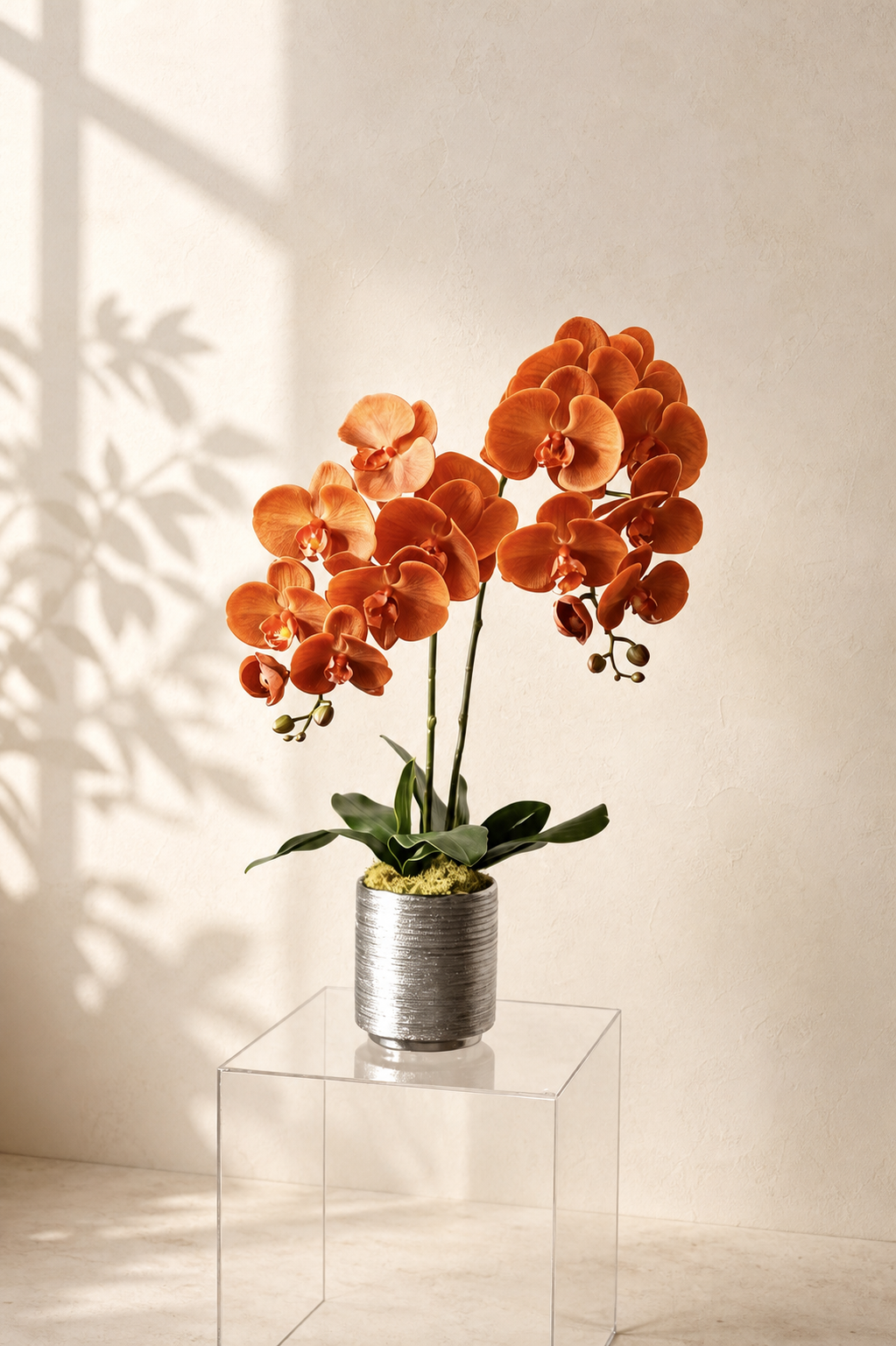 Amber Glow — Life-Like Silk Orchid in Silver Pot (2 Stems)