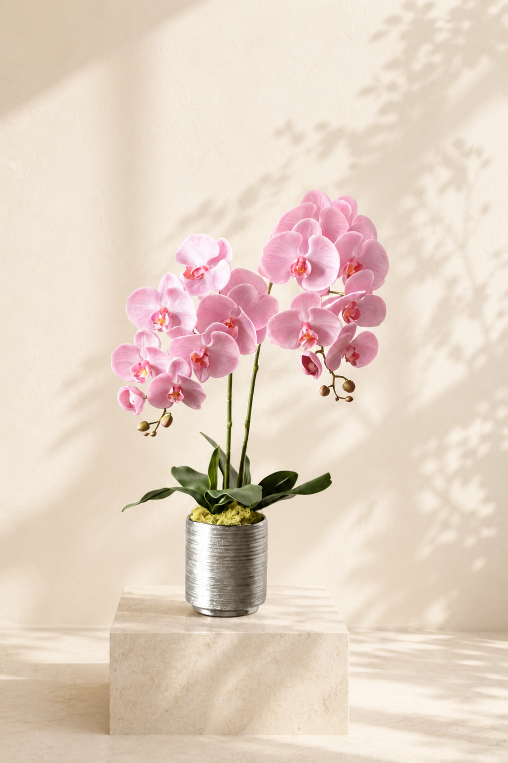 Blush Sonata — Life-Like Silk Orchid in Silver Pot (2 Stems)