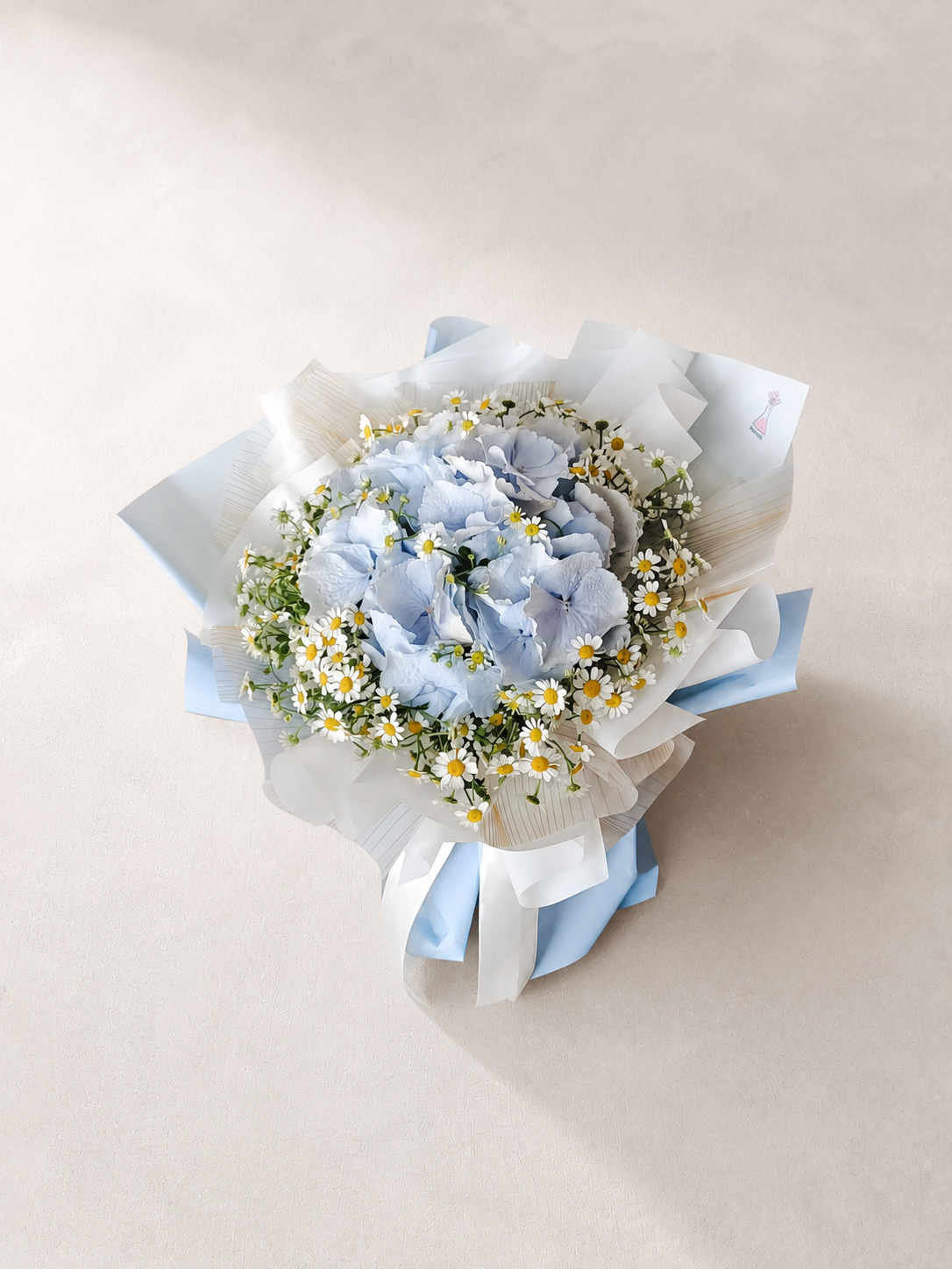 Hydrangea Cloud
