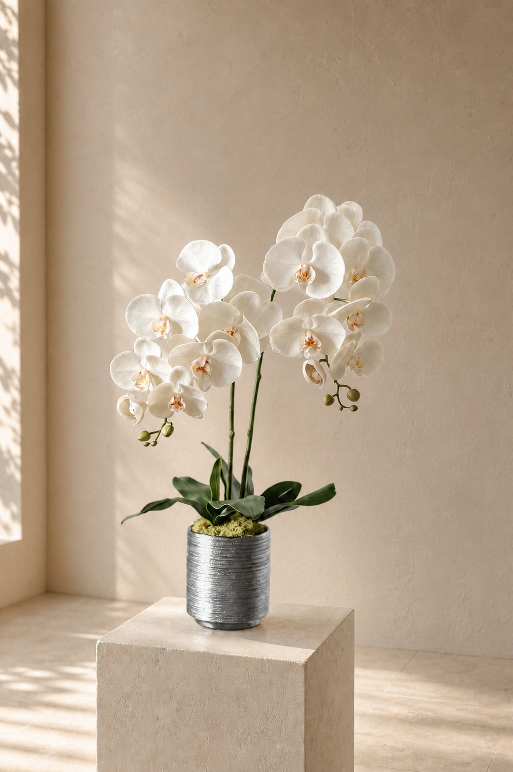 Ivory Whisper silk orchid arrangement in silver pot