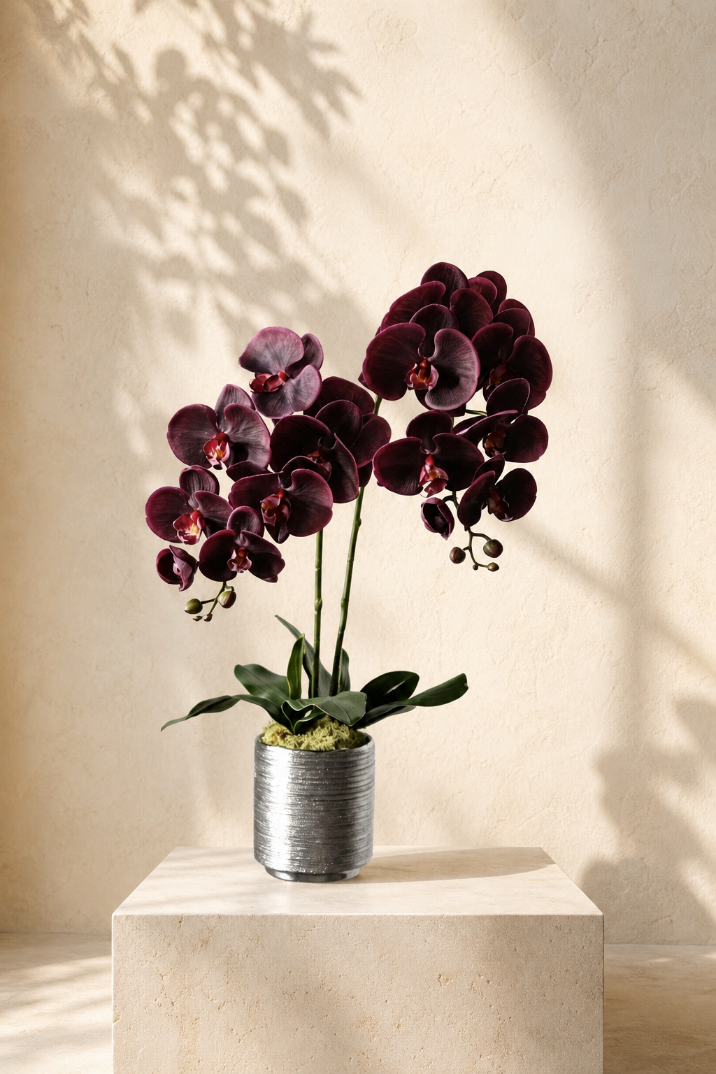 Velvet Noir — Life-Like Silk Orchid in Silver Pot (2 Stems)